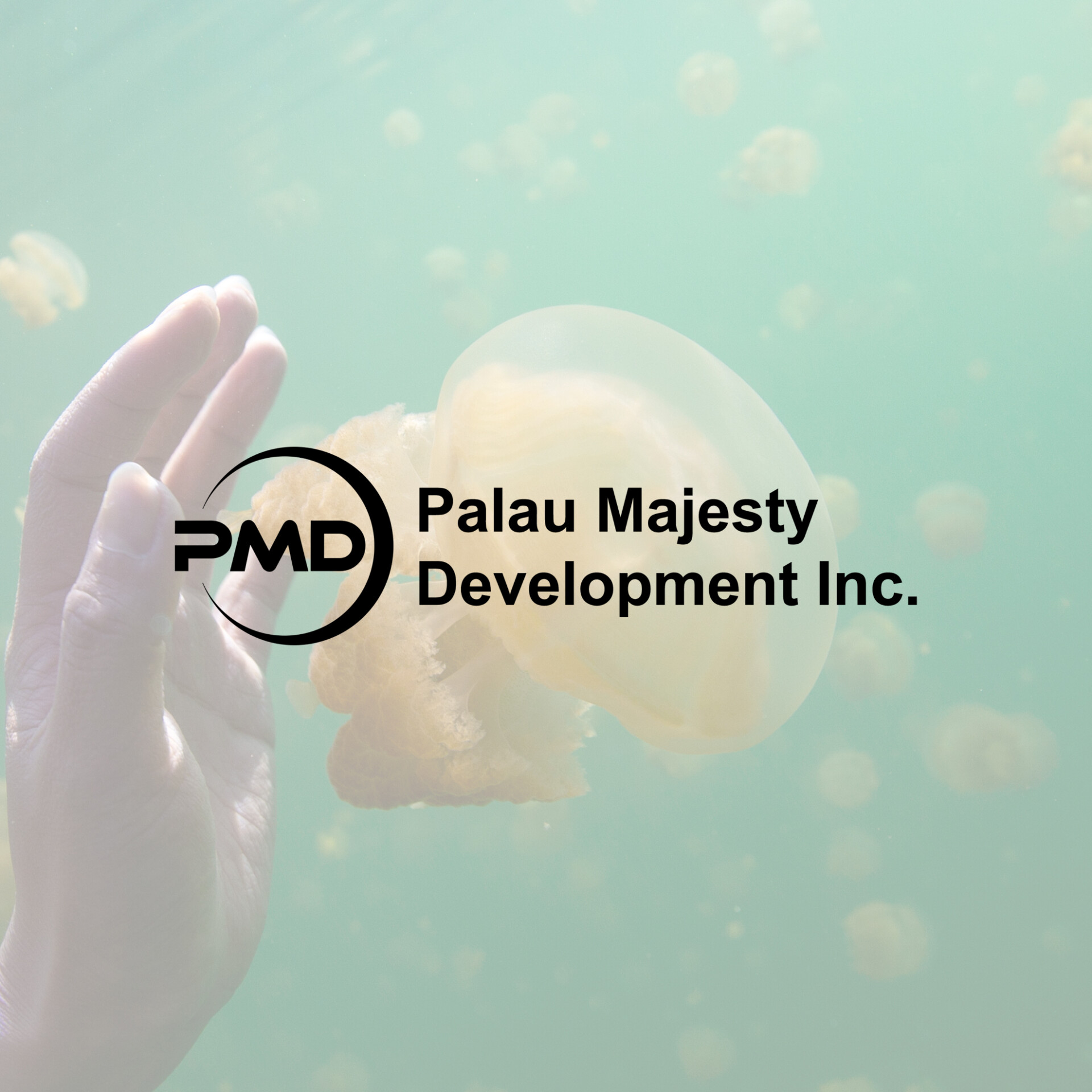 About PMD Inc.